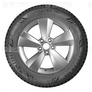 Ikon (Nokian Tyres) Character Ice 7 (Nordman 7) SUV 235/55 R18 104T
