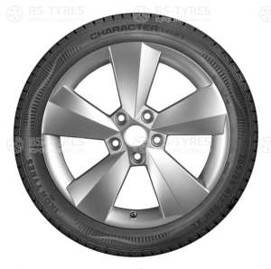 Ikon (Nokian Tyres) Character Snow 2 (Nordman RS2) SUV 235/55 R18 104R